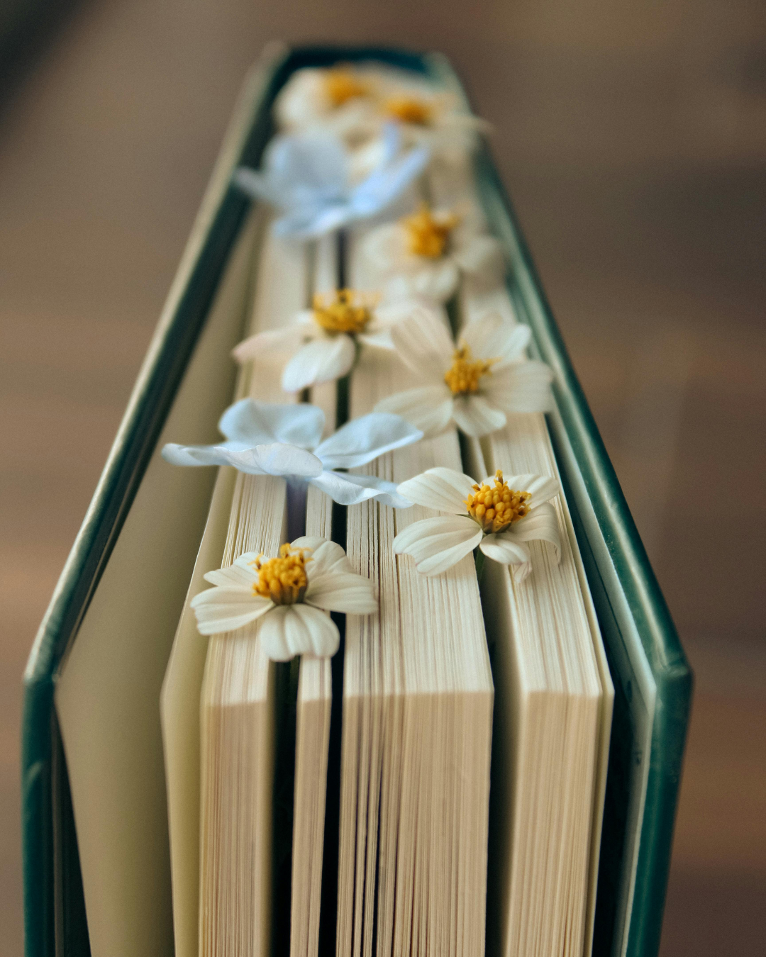 Early Thoughts on My 2025 Reading Challenge