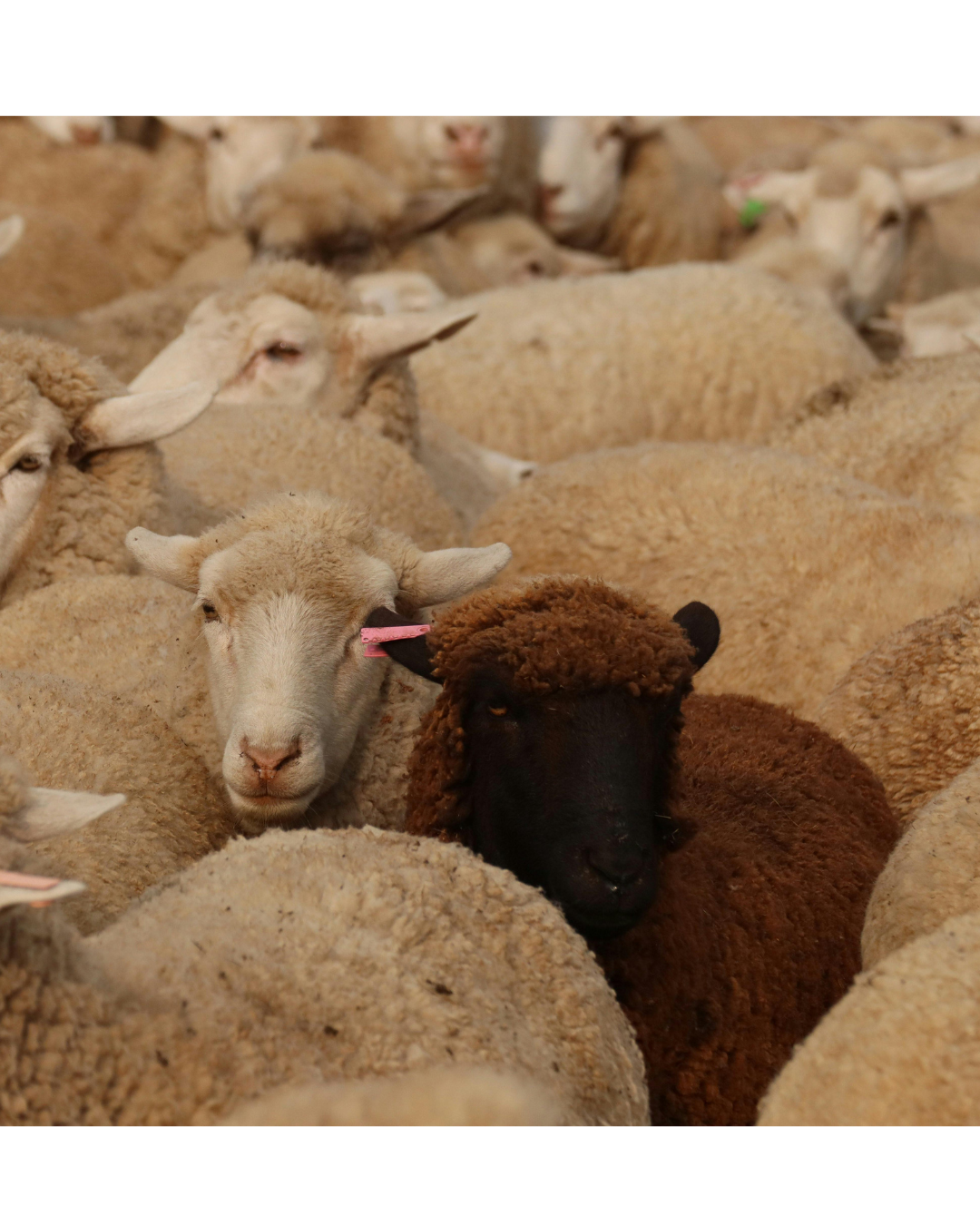 The Blessing and Curse of Influence