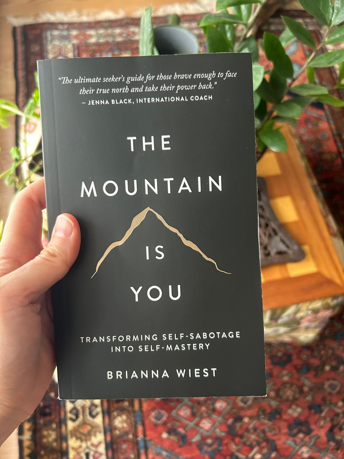 Book #16- Reflections on “The Mountain Is You”