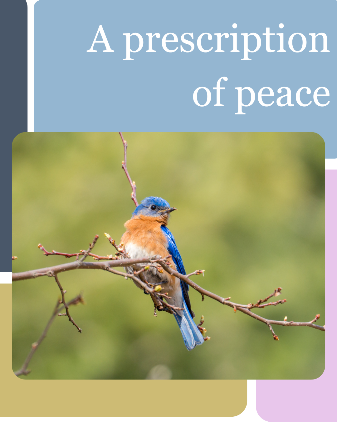 A Prescription of Chirping Birds