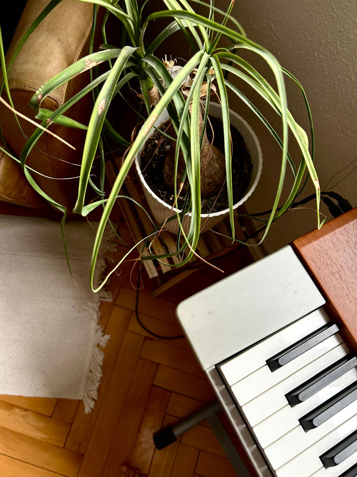 How To Grow Your Original Voice in 5 Steps