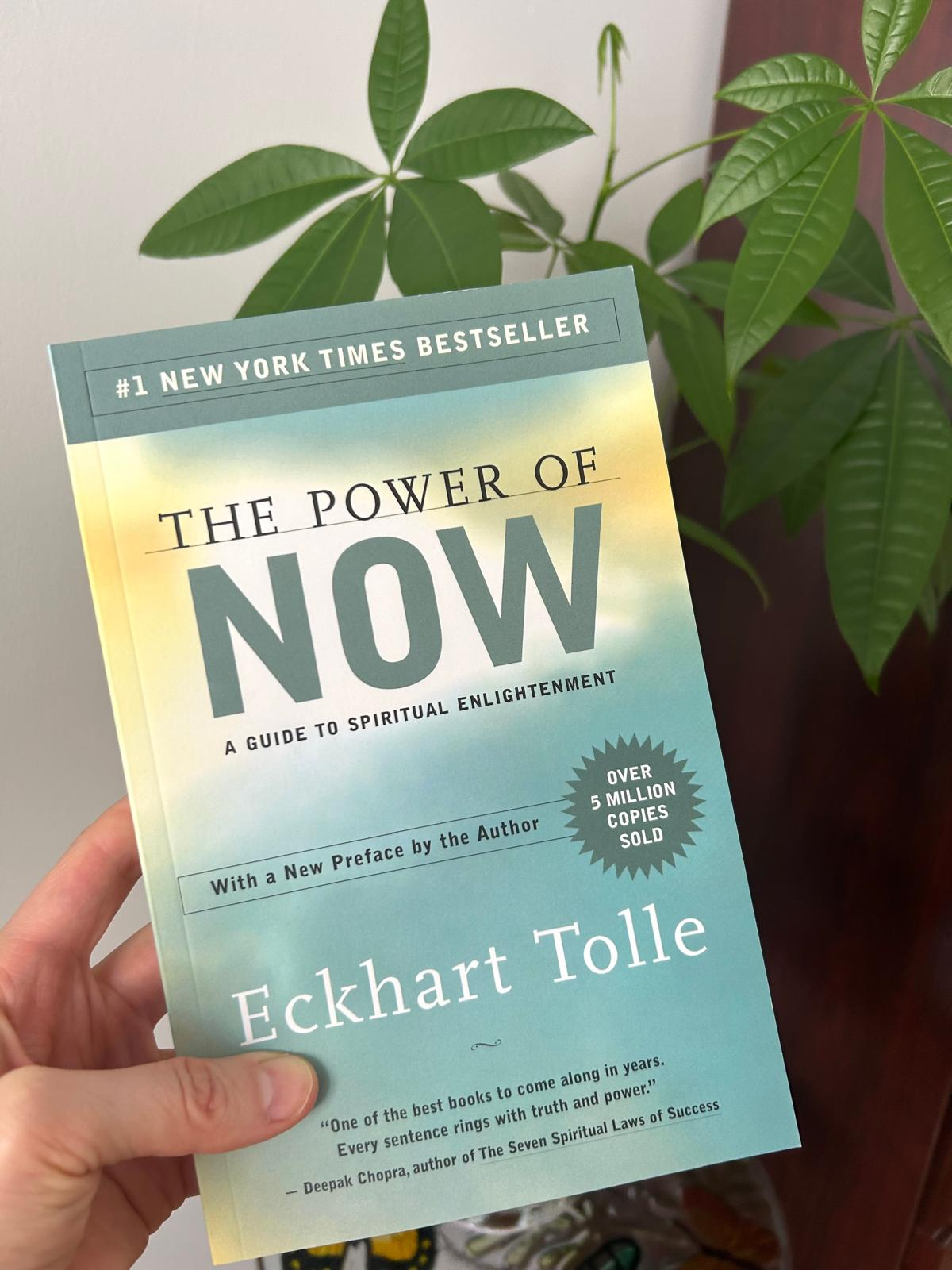 Book #38- Reflections on “The Power of Now”