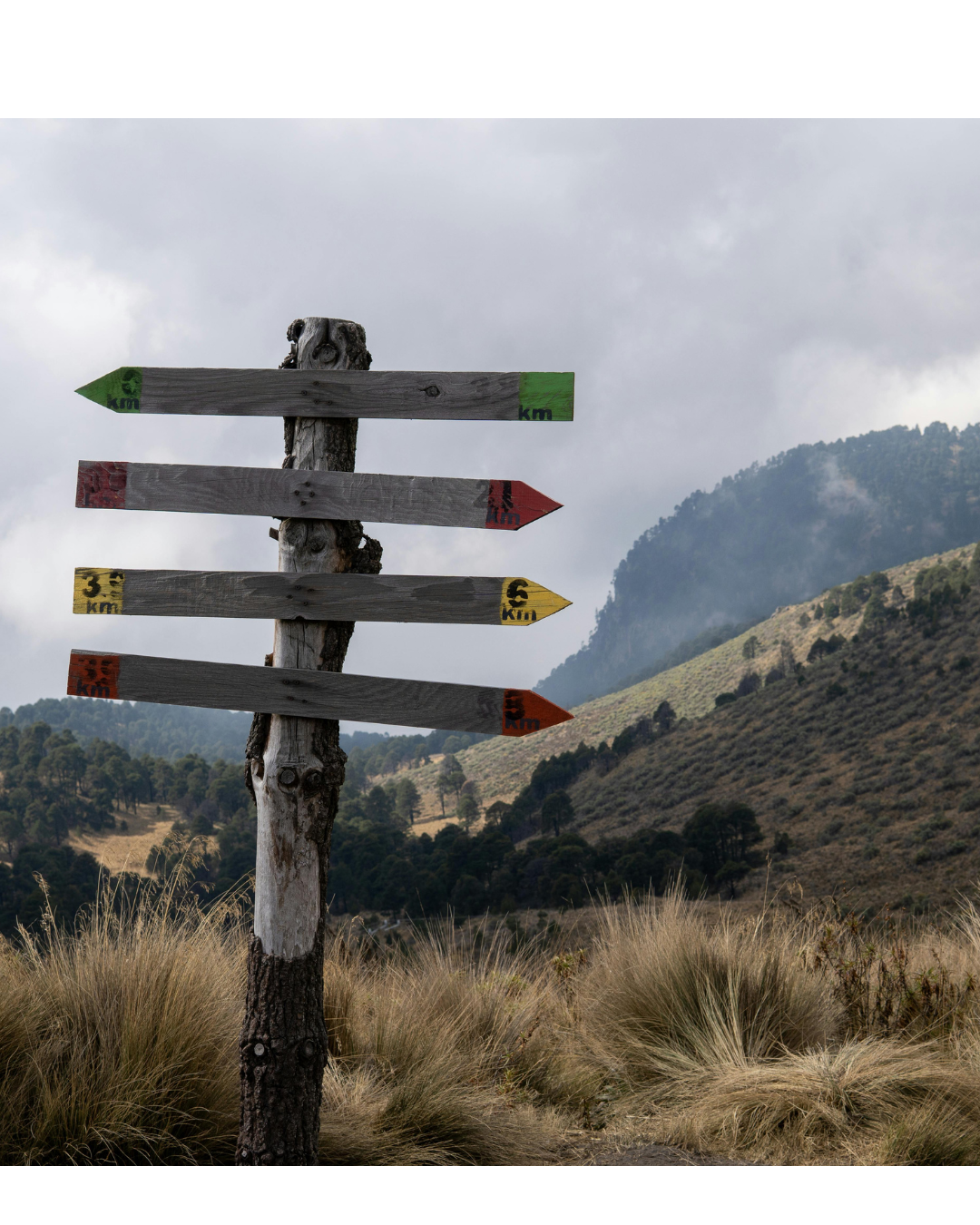 The Long Road to a Split-Second Decision: How Character is Built Before the Moment
